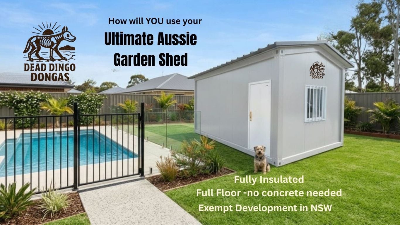 A Dead Dingo Donga insulated shed beside a pool in a landscaped backyard. Text on the image reads: How will YOU use your Ultimate Aussie Garden Shed — fully insulated, full floor with no concrete needed, exempt development in NSW.
